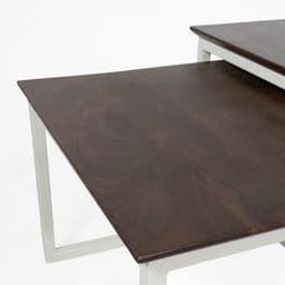 Salontafel Steel set van 2 - 2