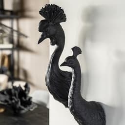 Pavo - black - 3