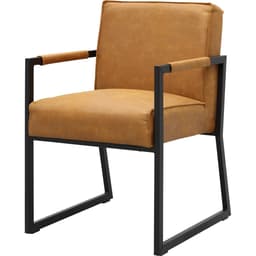 Eetkamerstoel Kenzo met metalen armleuning - 1