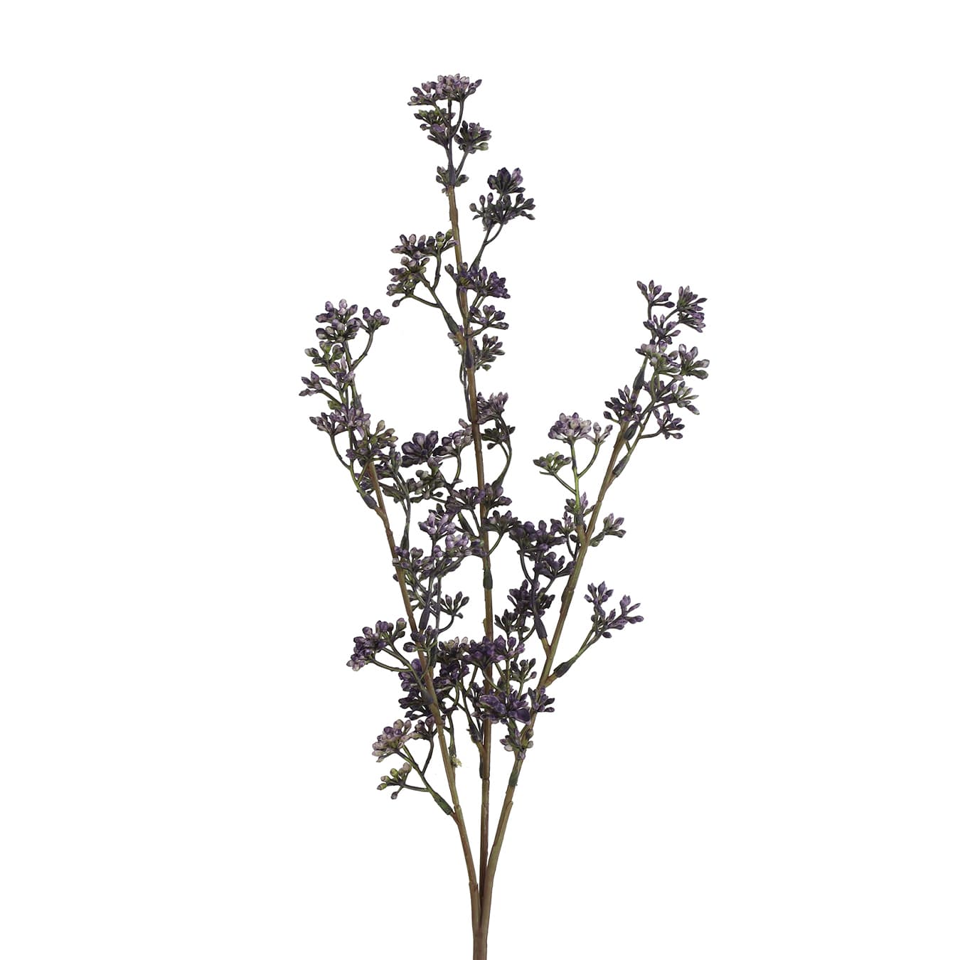 Prunus kunsttak paars