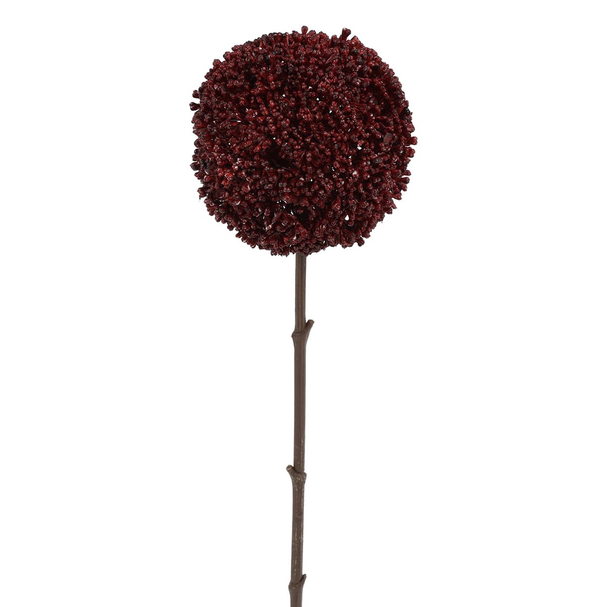 Bloem Allium rood